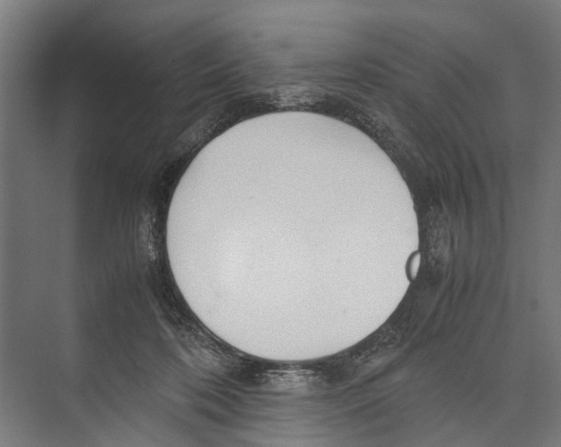 X0000071950316200608041600