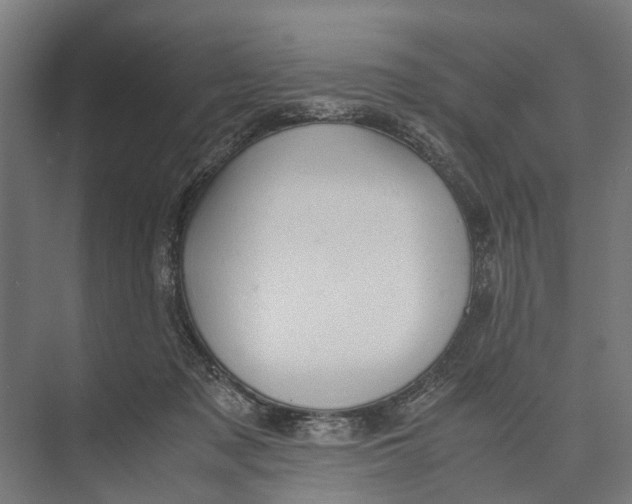 X0000071950317200608041600