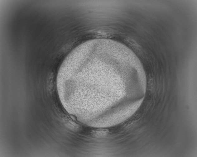 X0000071950318200608041600