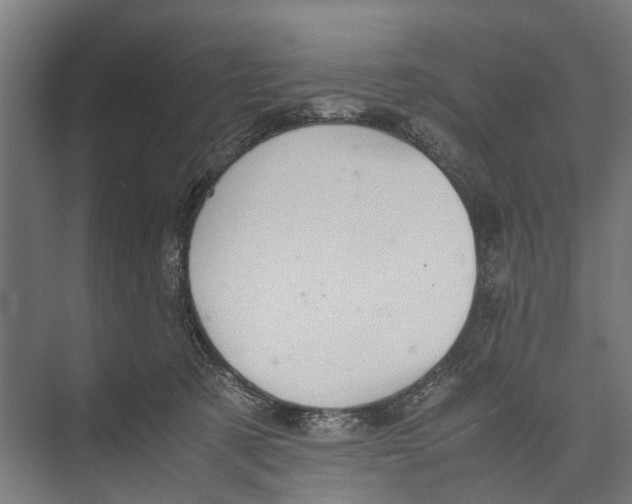 X0000071950321200608041600