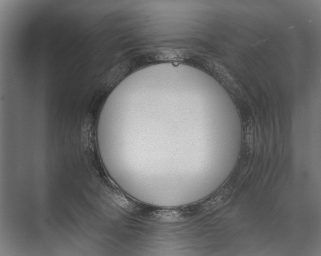 X0000071950322200608041600