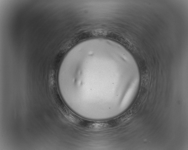 X0000071950323200608041600