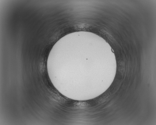 X0000071950324200608041600