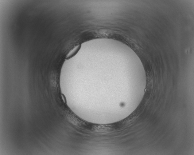 X0000071950331200608041600