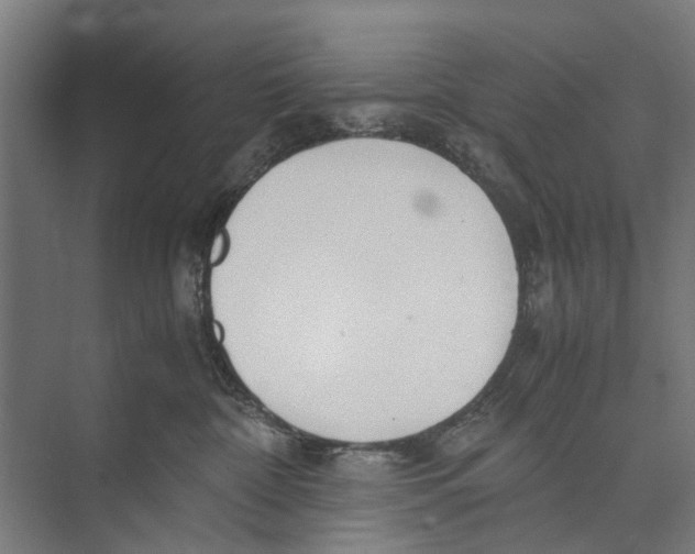 X0000071950332200608041600