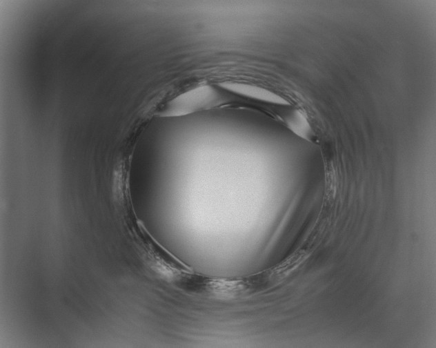 X0000071950333200608041559