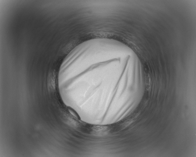 X0000071950334200608041559