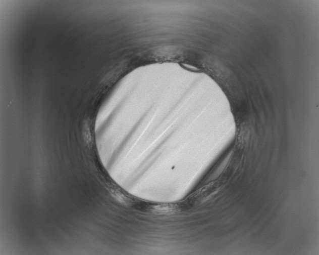 X0000071950335200608041559