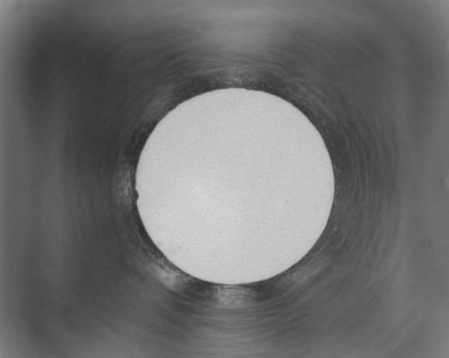 X0000071950336200608041559