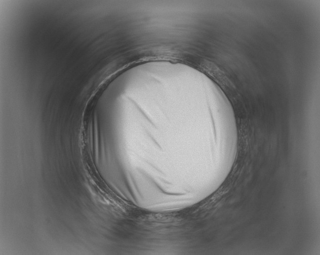 X0000071950338200608041559