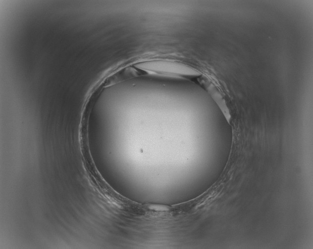 X0000071950340200608041559