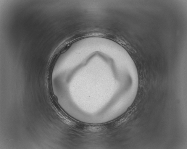 X0000071950341200608041559