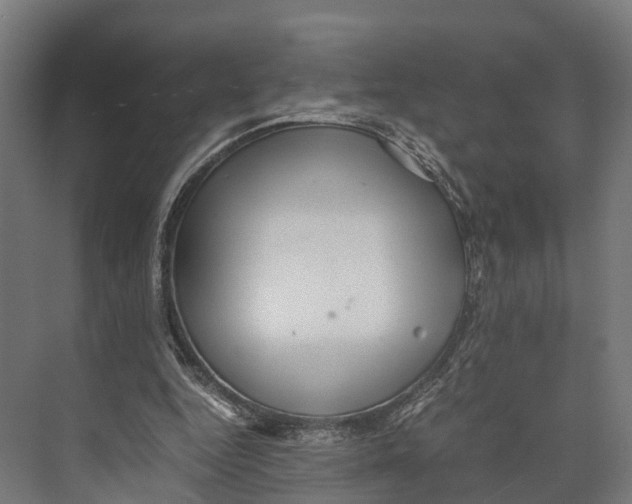 X0000071950344200608041559