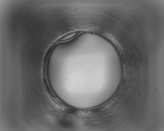 X0000071950346200608041559