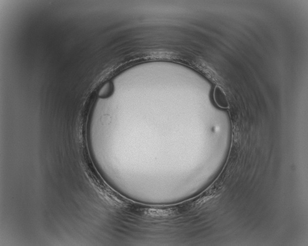 X0000071950347200608041559