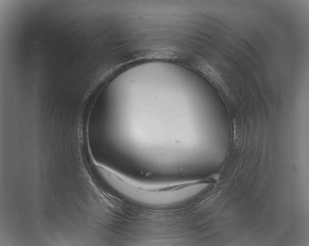 X0000071950348200608041559