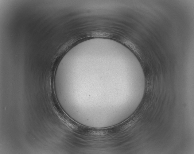 X0000071950349200608041559