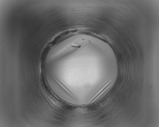 X0000071950350200608041559