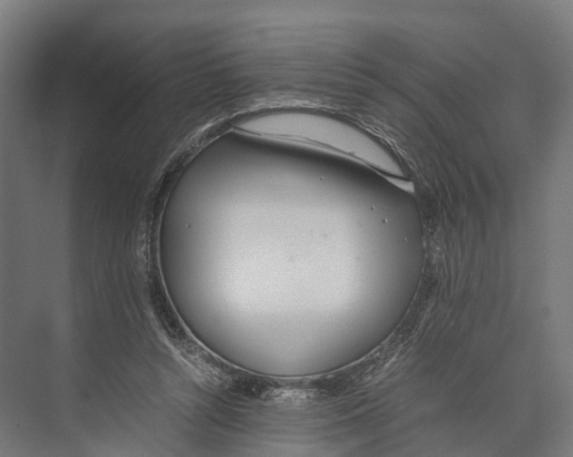 X0000071950352200608041559