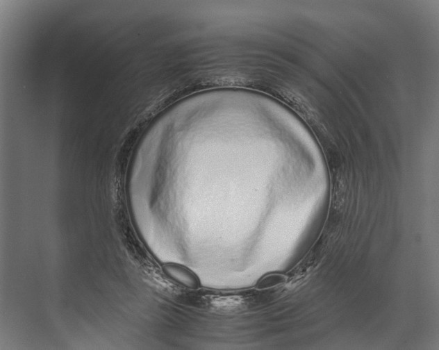 X0000071950355200608041559