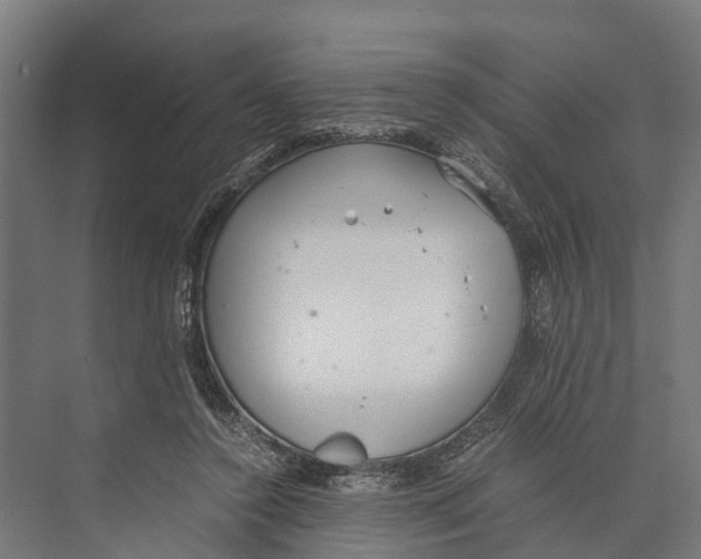 X0000071950356200608041559