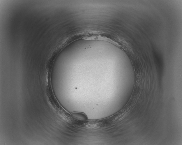 X0000071950358200608041559