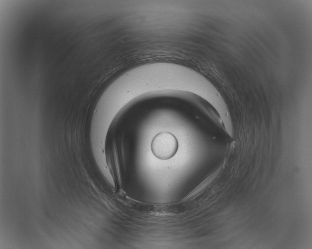 X0000071950360200608041559