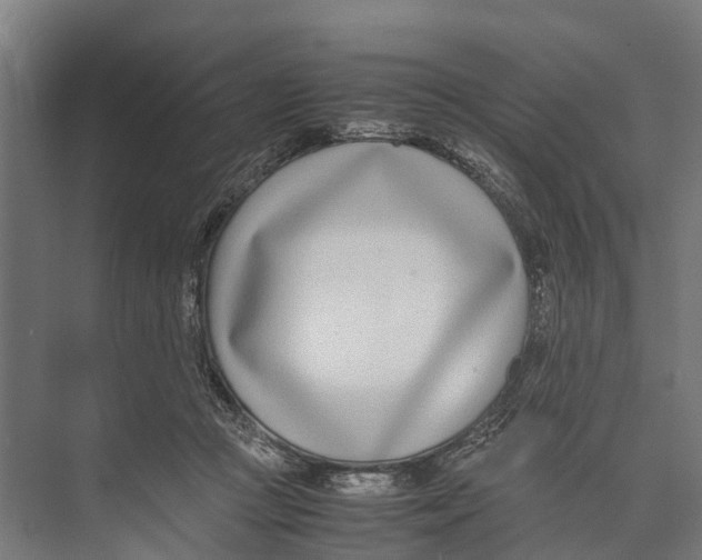 X0000071950361200608041559