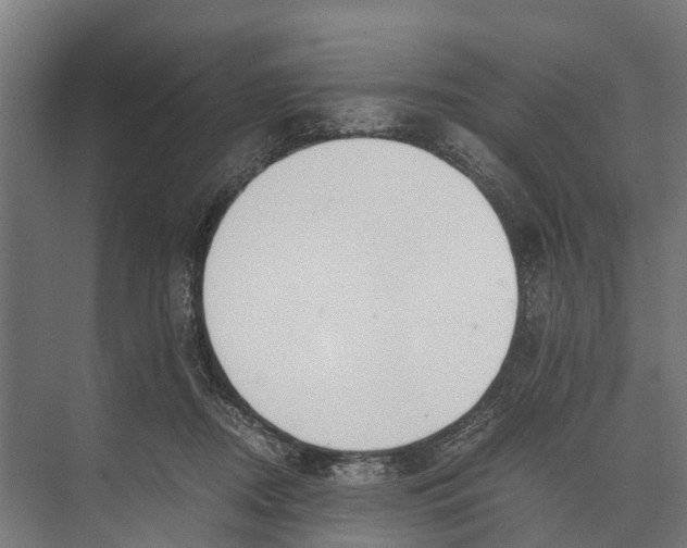 X0000071950362200608041559