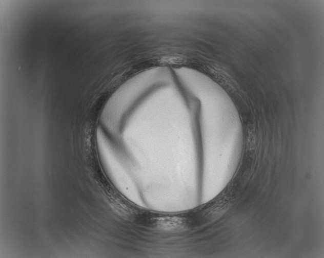 X0000071950363200608041559