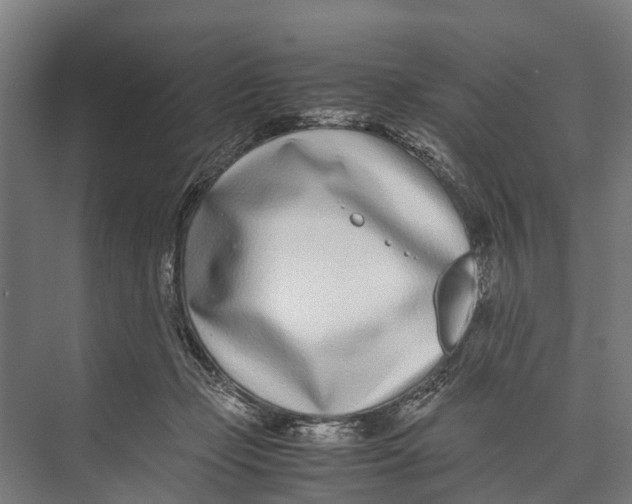 X0000071950365200608041559