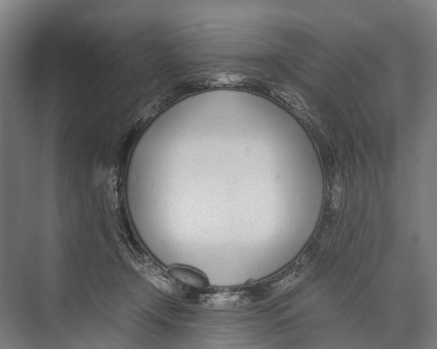 X0000071950366200608041559