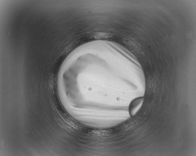 X0000071950367200608041559