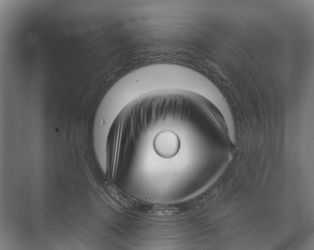 X0000071950368200608041559