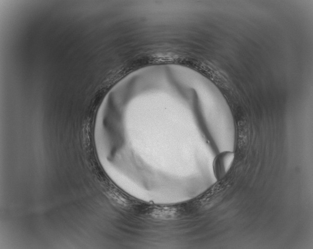 X0000071950369200608041559