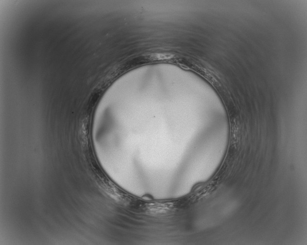 X0000071950373200608041559