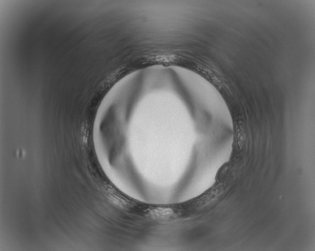 X0000071950374200608041559