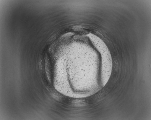 X0000071950375200608041559