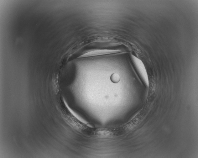 X0000071950376200608041559