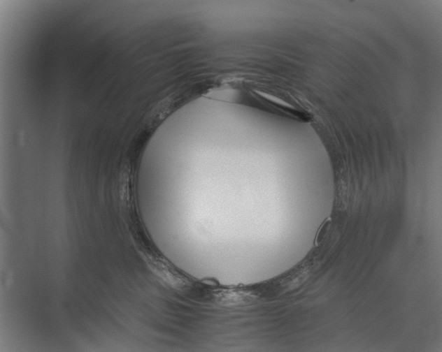 X0000071950379200608041559