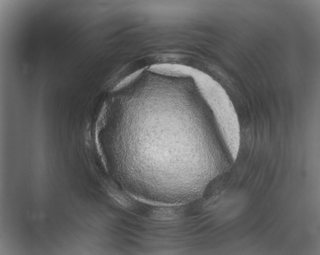 X0000071950381200608041559