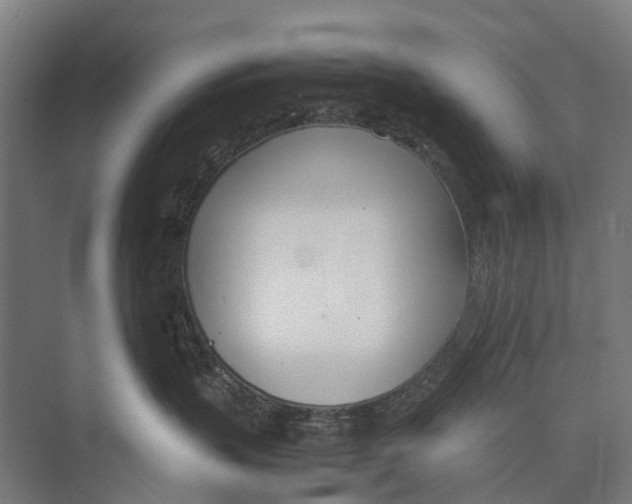 X0000071950383200608041559