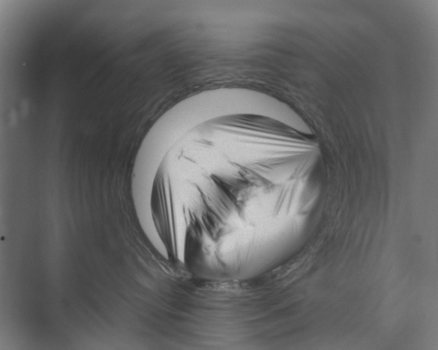 X0000071950384200608041559