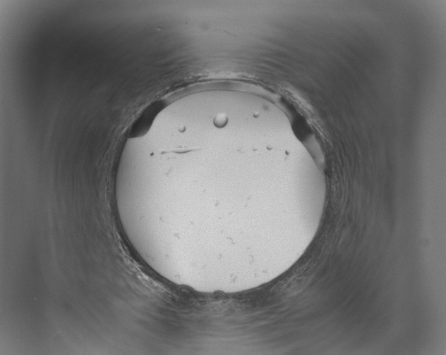 X0000071950385200608041559