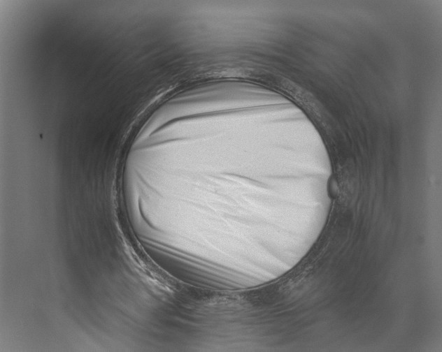 X0000071950386200608041559