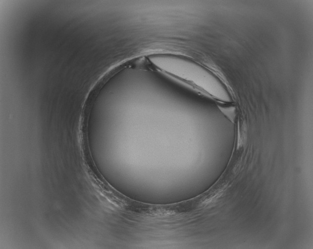 X0000071950387200608041559