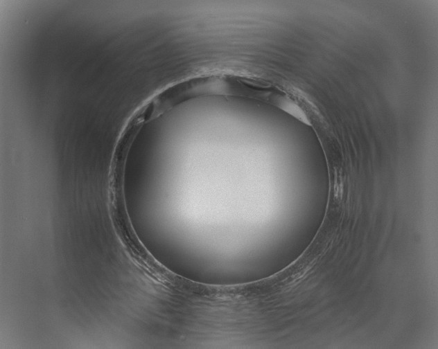 X0000071950388200608041559