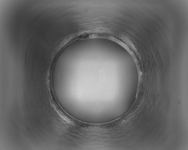 X0000071950389200608041559