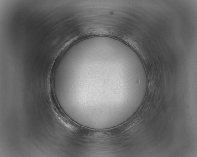 X0000071950390200608041559