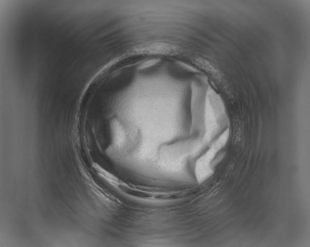 X0000071950392200608041558